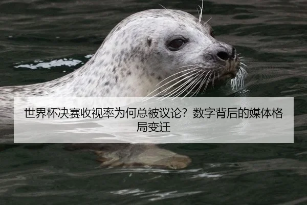世界杯决赛收视率为何总被议论？数字背后的媒体格局变迁